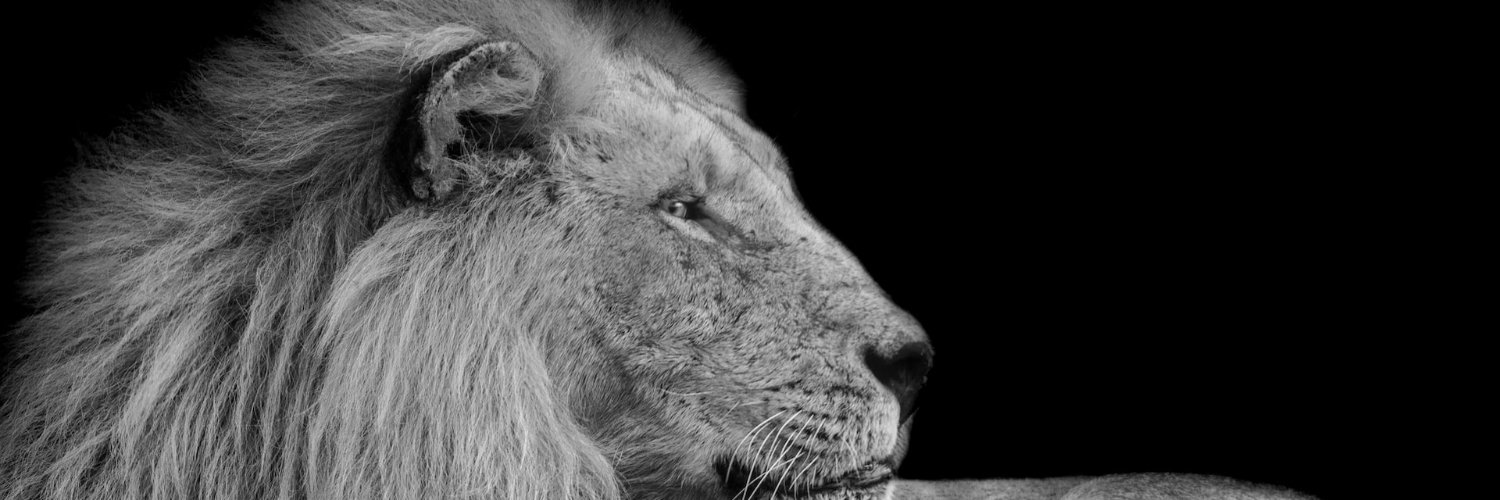 NickeaMBennett's profile banner image