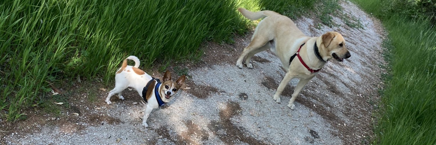 Eli Elsbecker banner