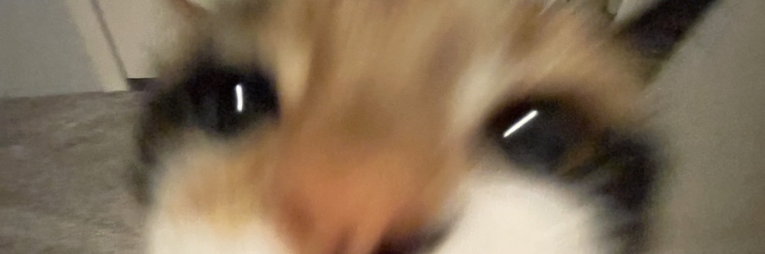 cecelanderos's profile banner image