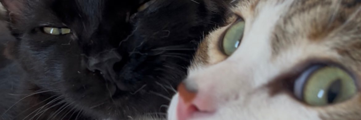 cassiaseveriano's profile banner image