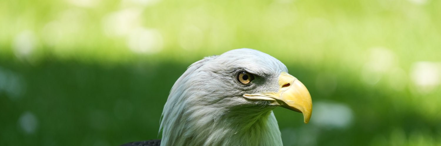B_Blackbourn's profile banner image