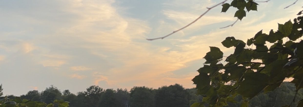 B_Shmoney's profile banner image