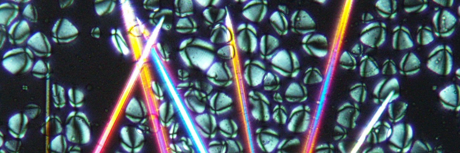 Dr. Emma Yasui banner