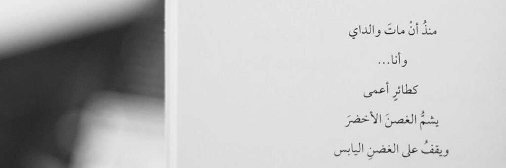 MeMe_Mahmod1's profile banner image