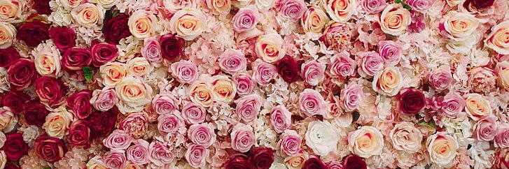 pink_91097's profile banner image