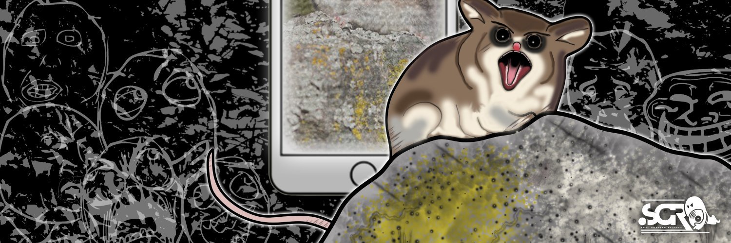 407_el's profile banner image