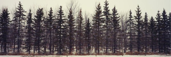 gabinhovanderp Profile Banner