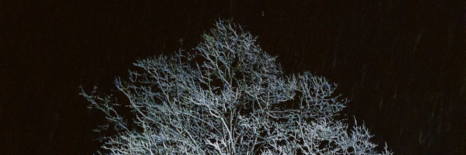 mya banner