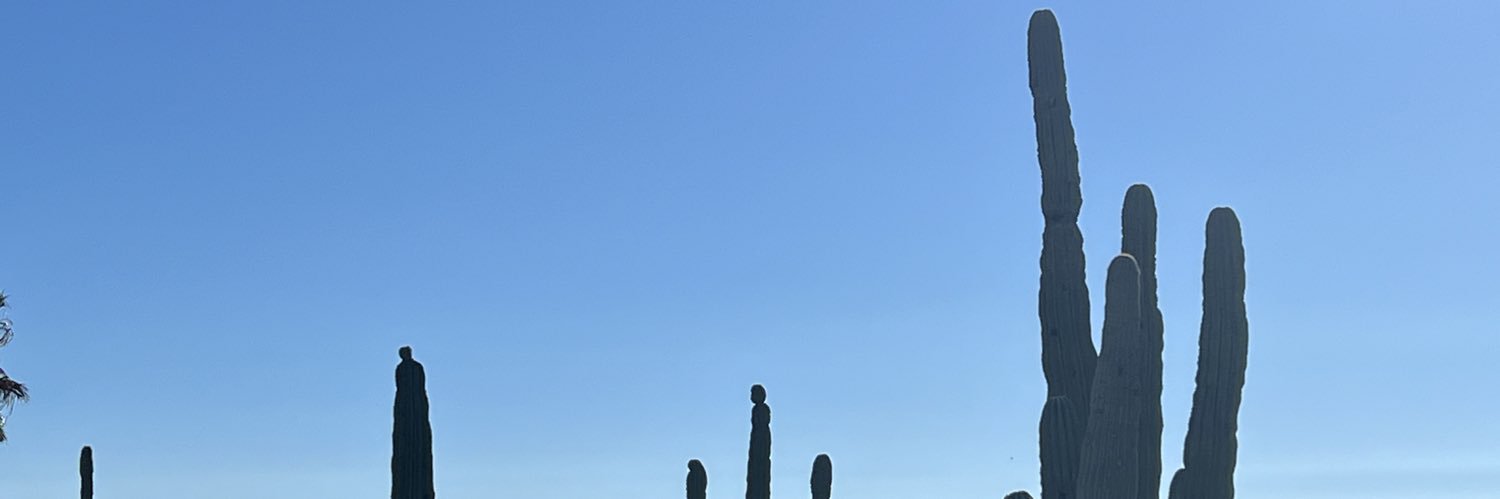 Iván Guerrero banner