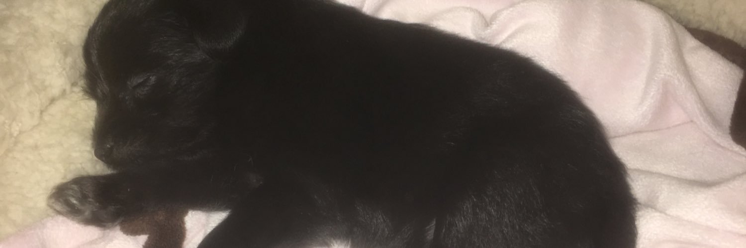 Markyhunchy69's profile banner image