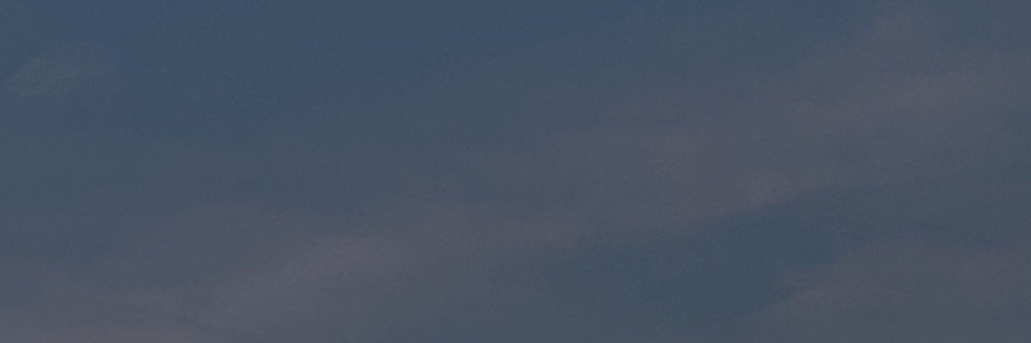 ariana banner
