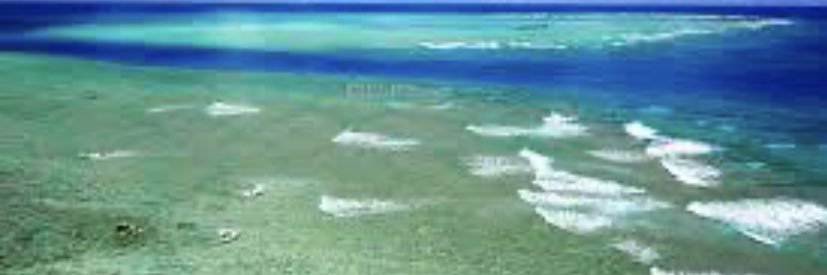 大谷翔平&MLB情報速報【n.a】 banner