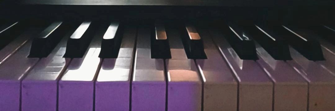 lullipoli's profile banner image