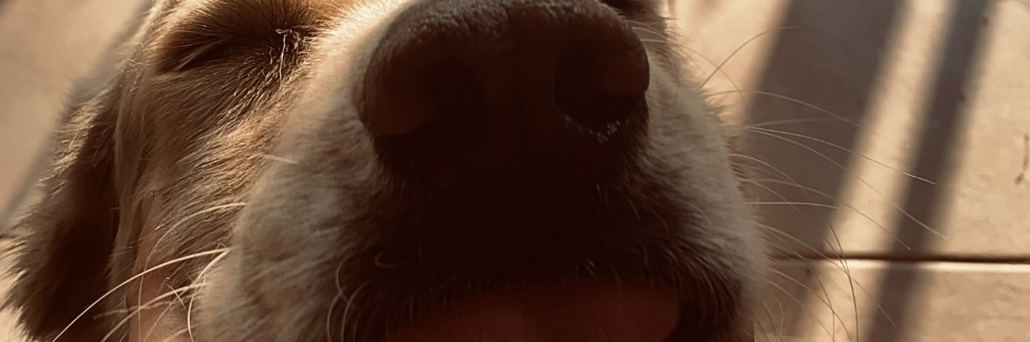 fauraema's profile banner image