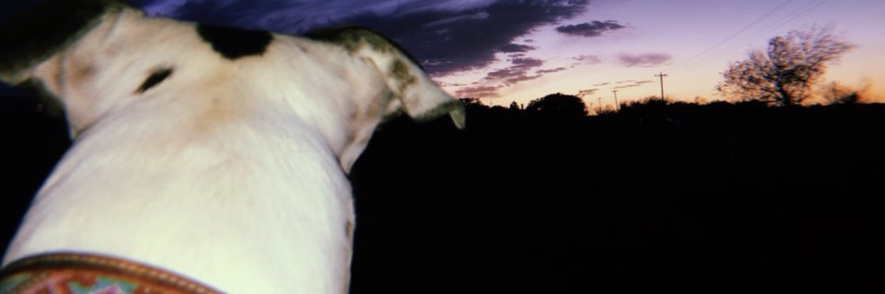 praye97's profile banner image