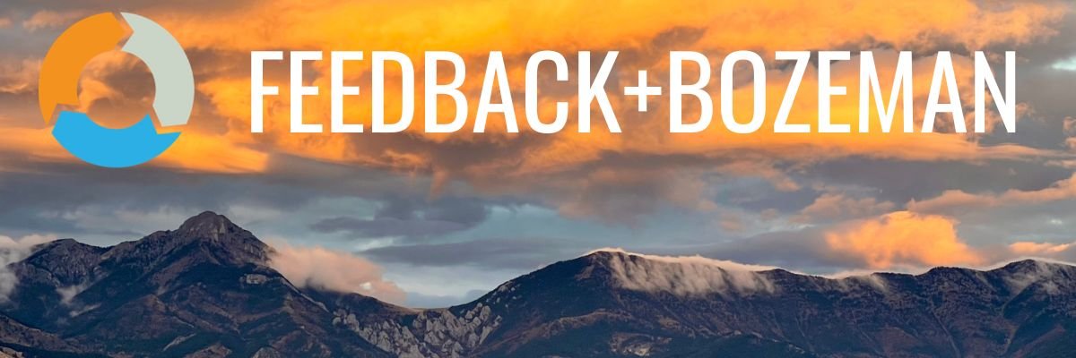 Feedback Labs banner