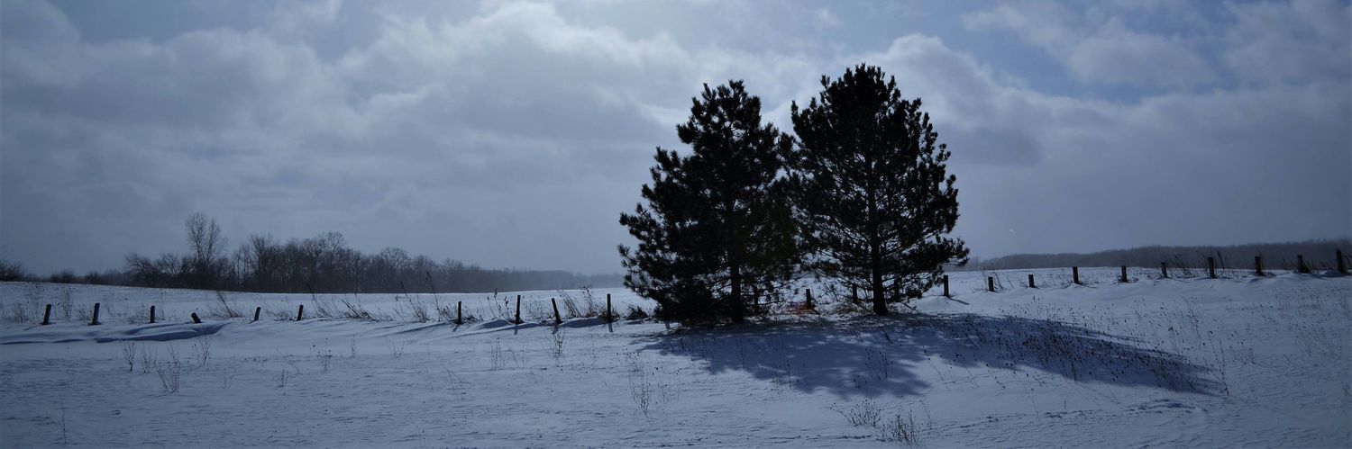 sdeebz's profile banner image