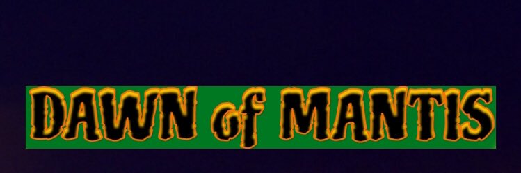 dawnofmantis's profile banner image