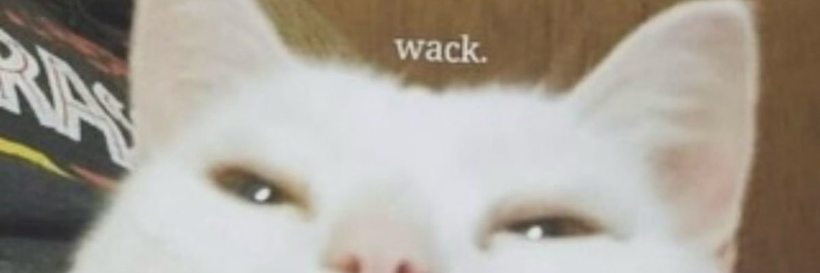 impartialsloth's profile banner image