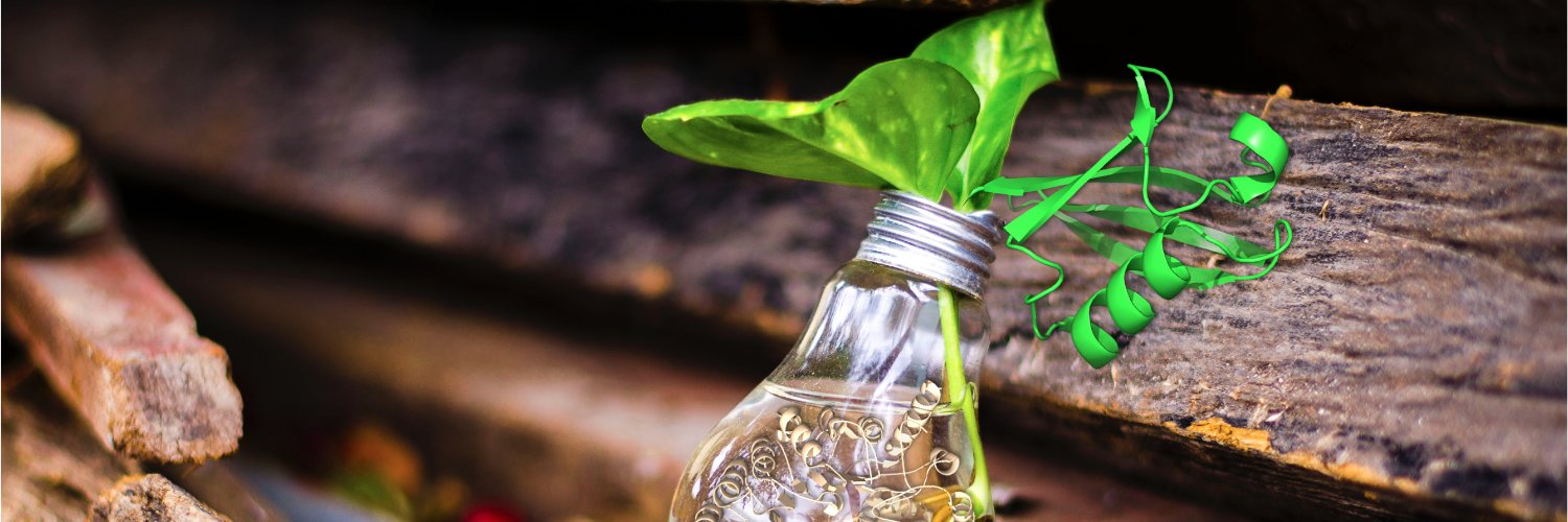 Nitzan Shabek banner