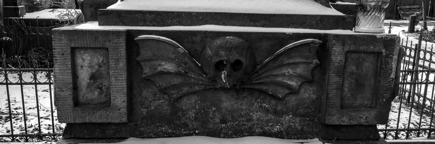 Snowflake Gene ❄️ banner