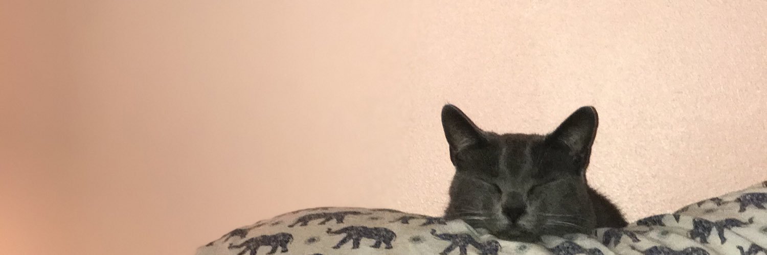 __OfficialAubs's profile banner image