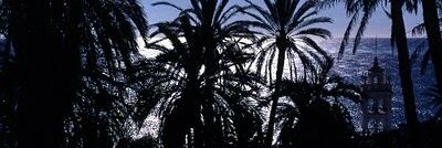 neoblaque's profile banner image