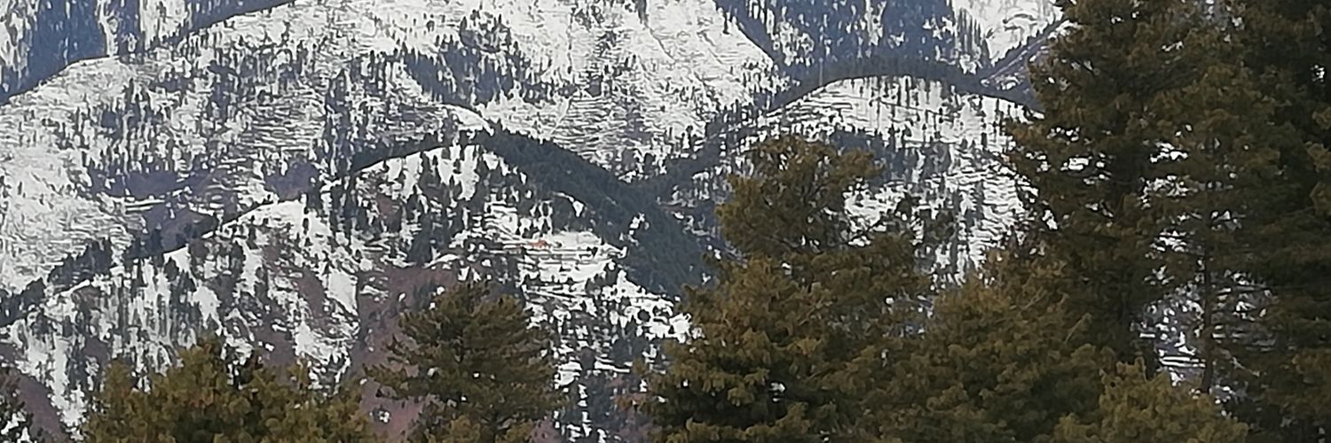 ash_moodi's profile banner image