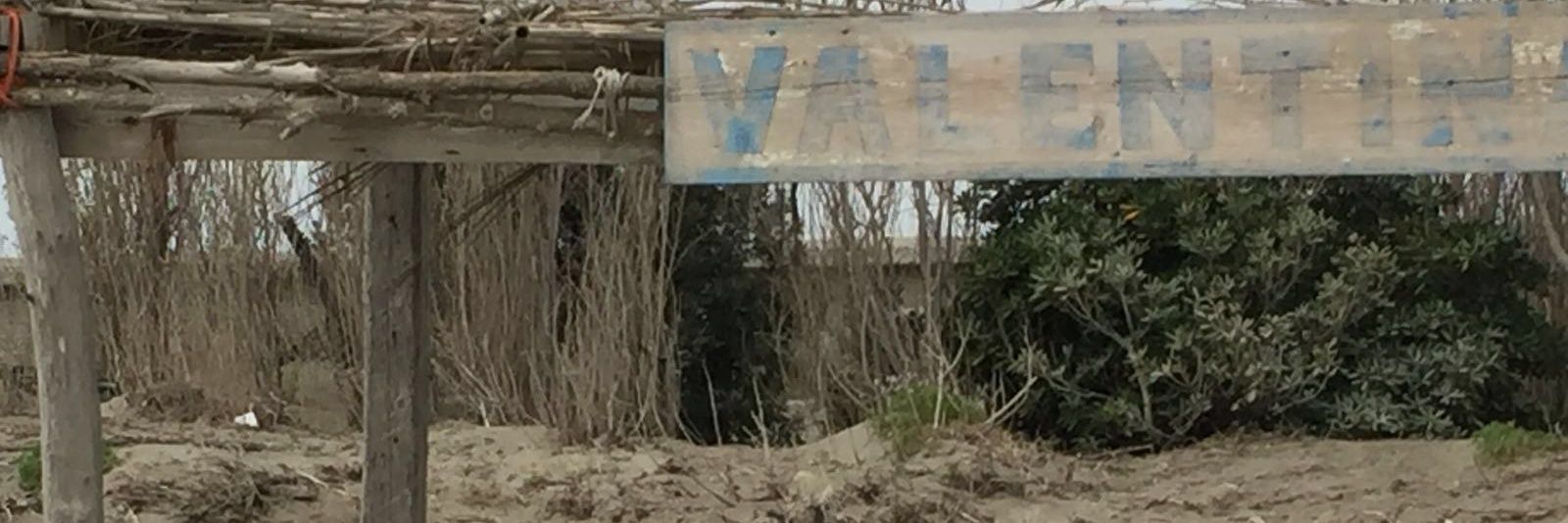 ValiMcGregger's profile banner image