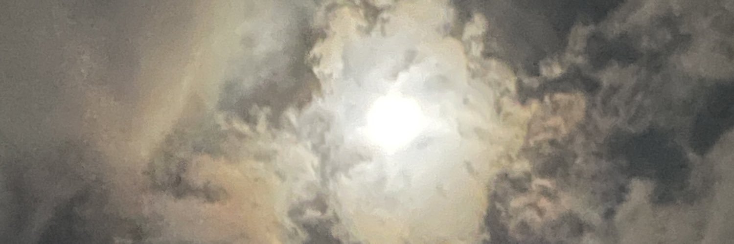 yoikoraide's profile banner image