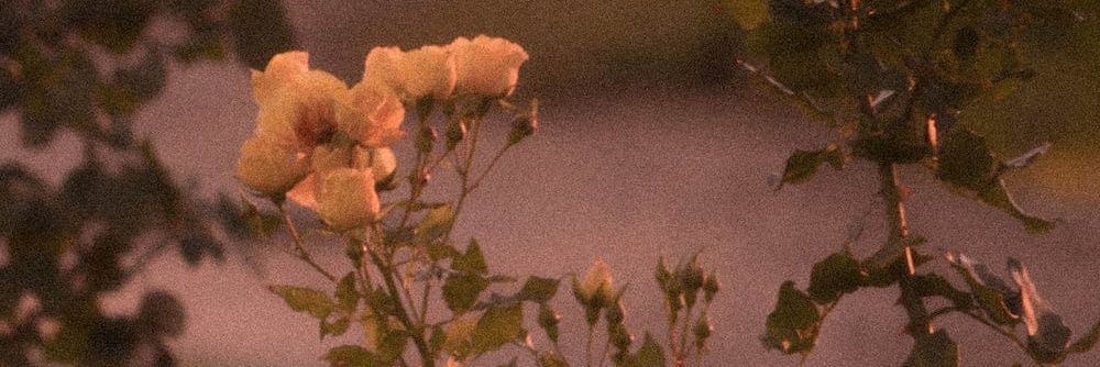 일상&힐링커뮤 홍보계 banner