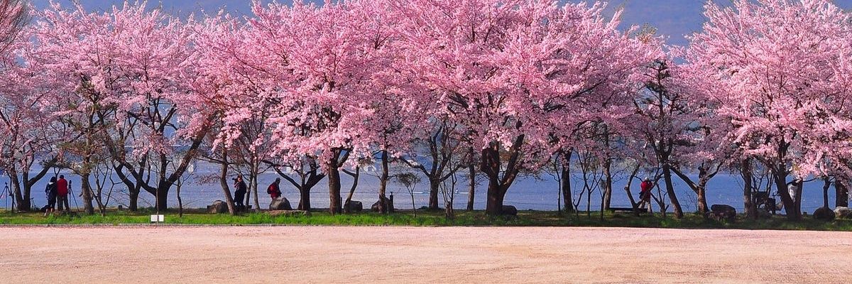 abhification_3's profile banner image