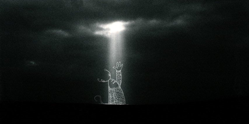 SoloMienteme's profile banner image