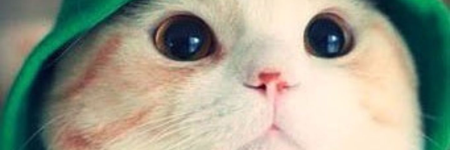 MarvelSuperAlex's profile banner image