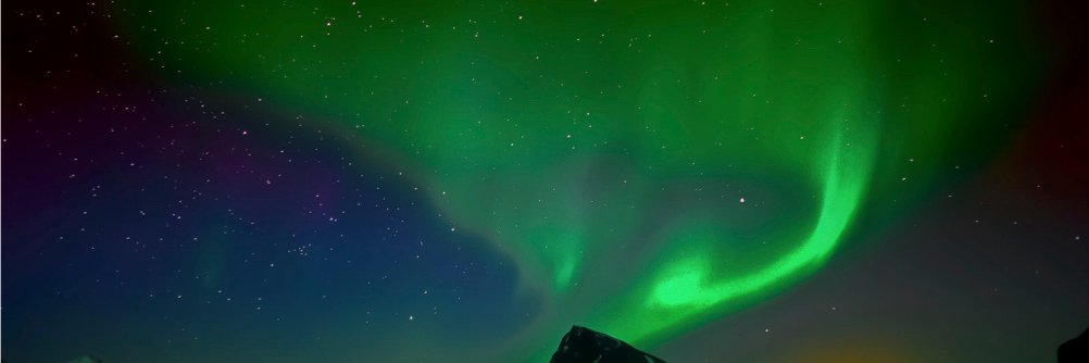 Faegheh Hasibi banner