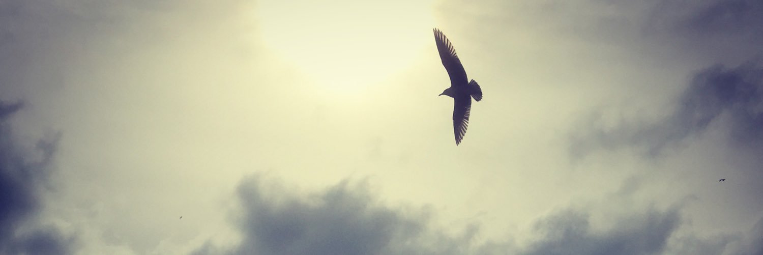 dk_wanderlust's profile banner image