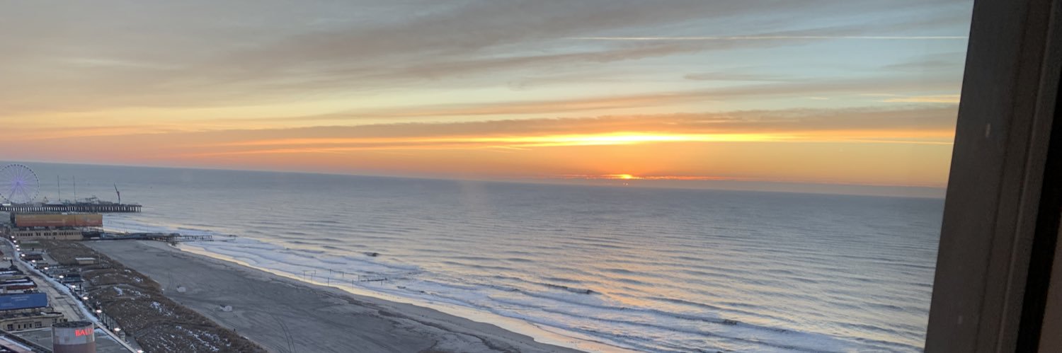 Tesla Fan Boy banner