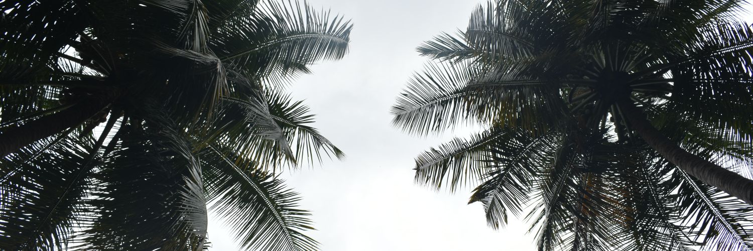 Siddhant Vashistha banner