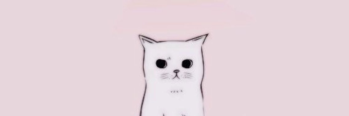 Raizup_'s profile banner image