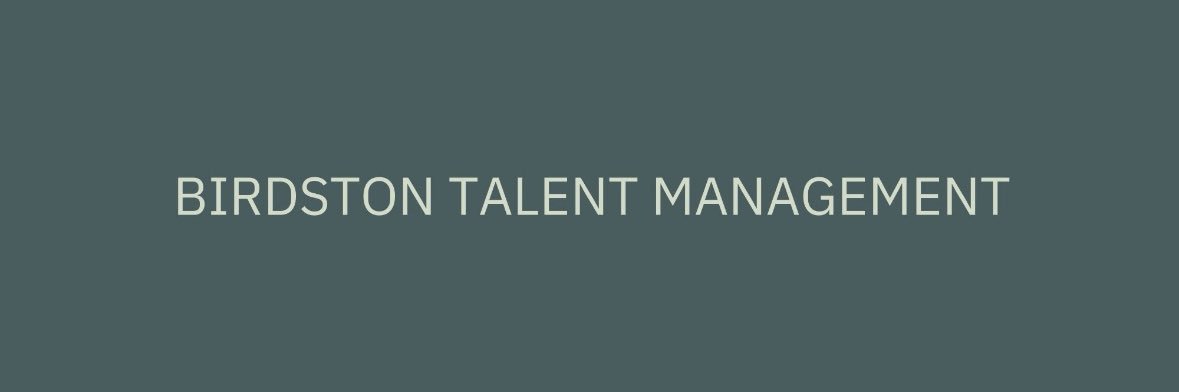 Birdston Talent Management's banner