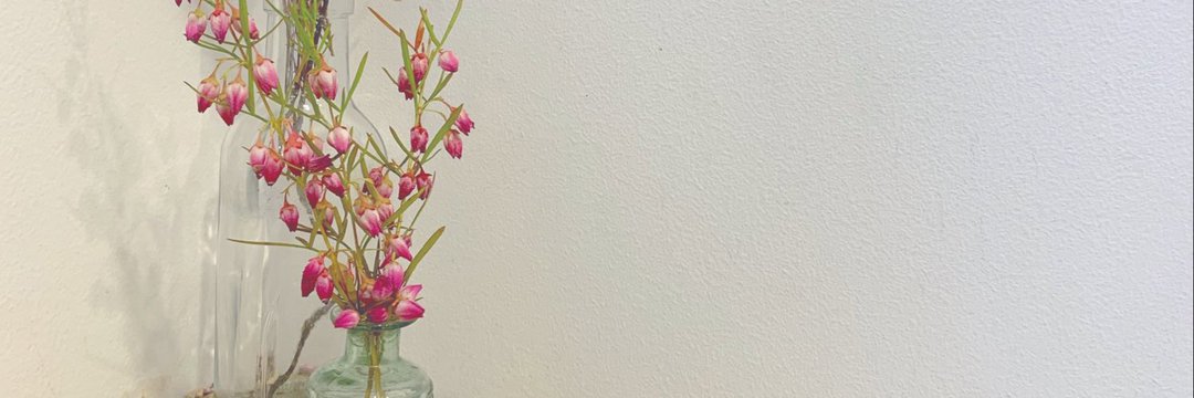 けんぼぉ banner
