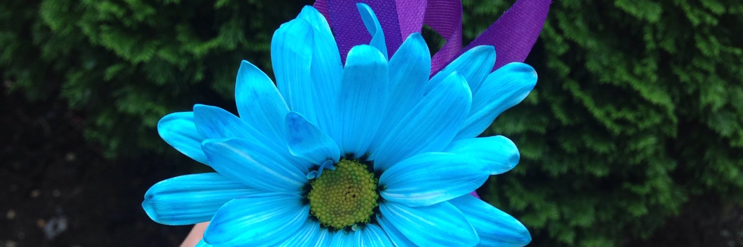 Angelaburgess27's profile banner image