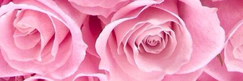 giusimonetta's profile banner image