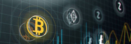 pepperoni_007's profile banner image