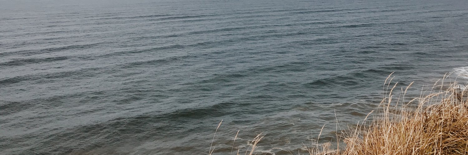 AlainaEdgerly18's profile banner image