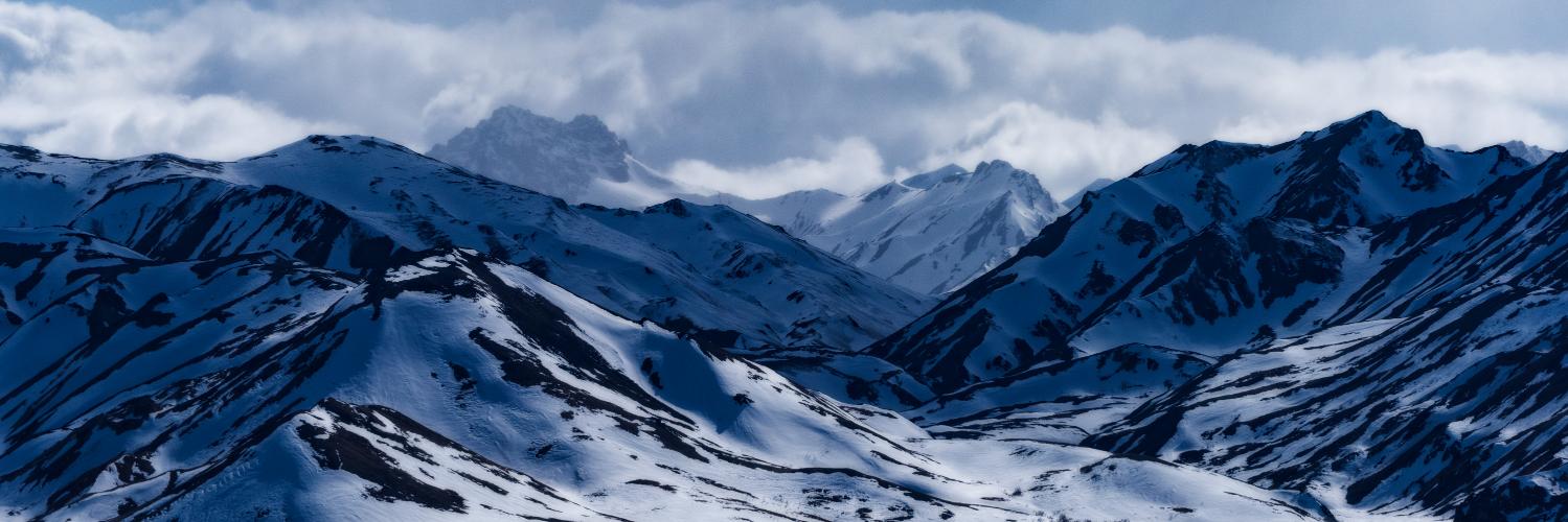 DenaliPhotoTour's profile banner image