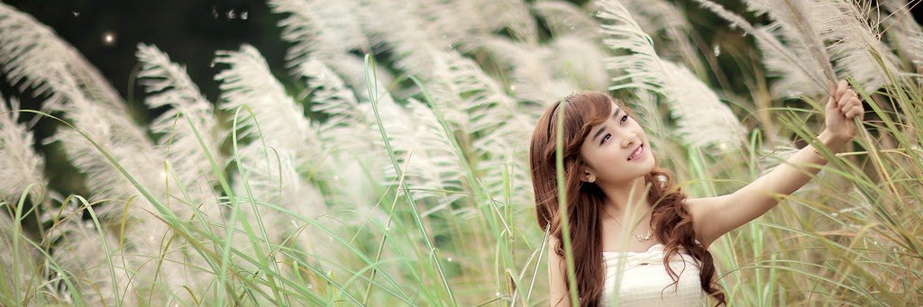 dinhhaupro's profile banner image