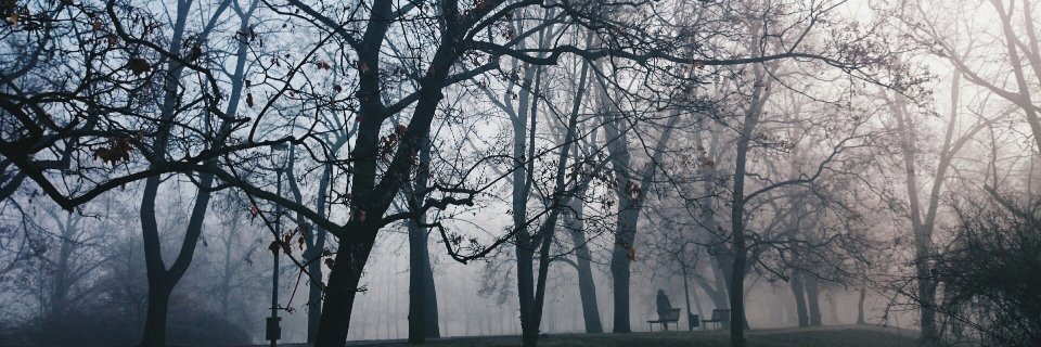 Lasaro_Nemesis's profile banner image