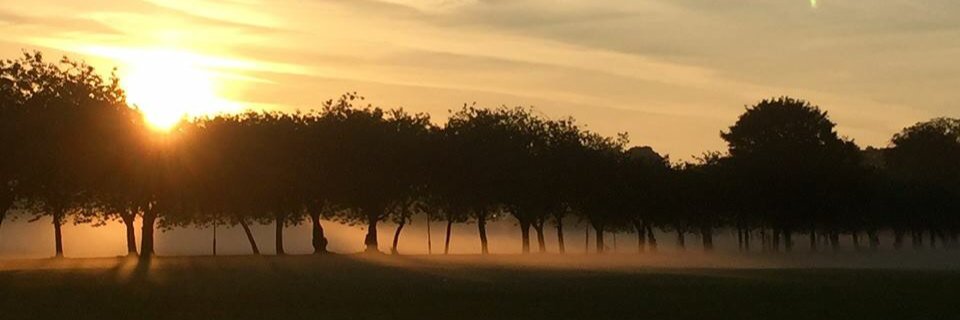 eleanakk's profile banner image