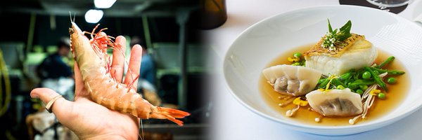 AustralFish Profile Banner